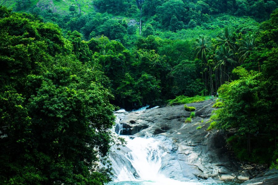 Chikmagalur-The land of coffee